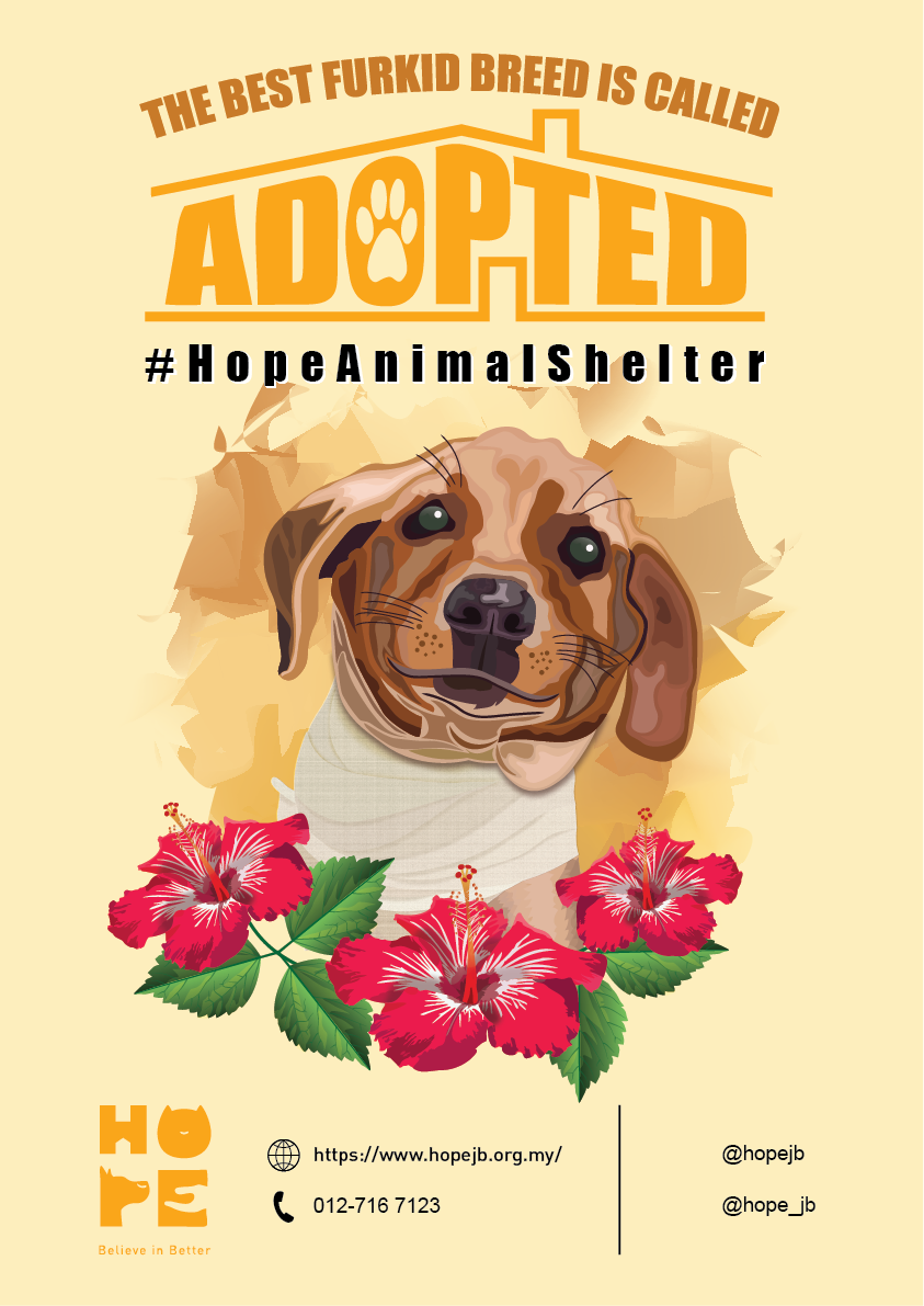 Hope Animal Shelter Poster